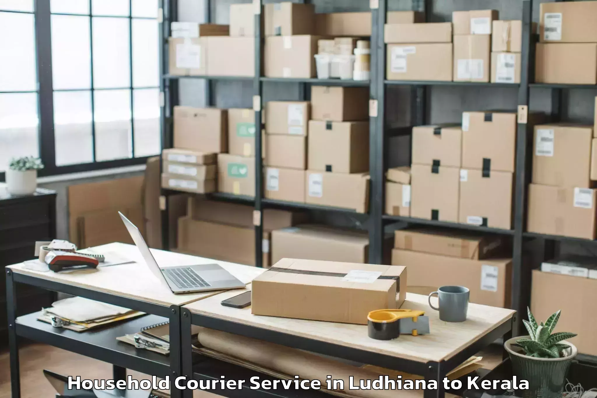 Hassle-Free Ludhiana to Vakkad Household Courier